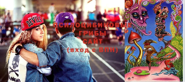 прущие грибы Арсеньев