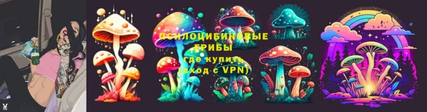 ПСИЛОЦИБИНОВЫЕ ГРИБЫ Армянск