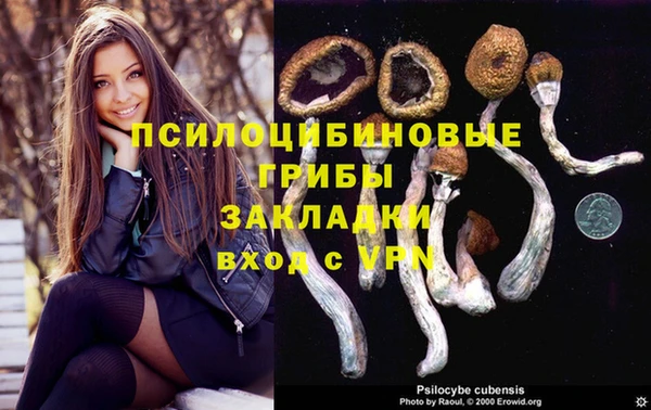 ПСИЛОЦИБИНОВЫЕ ГРИБЫ Армянск