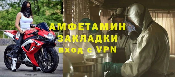 прущие грибы Арсеньев