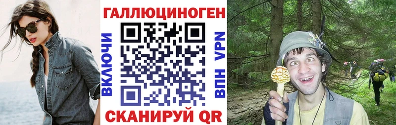 Псилоцибиновые грибы Psilocybe как найти наркотики Красный Кут